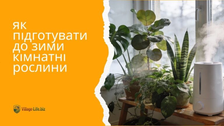Я ледь не залишився без рослин у 2026: 5 фатальних помилок, які я зробив, і як їх виправити