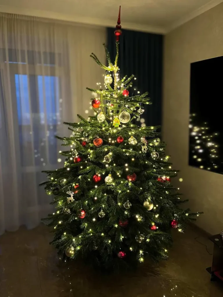 Як підняти новорічний настрій або чарівна сила вашої ялинки