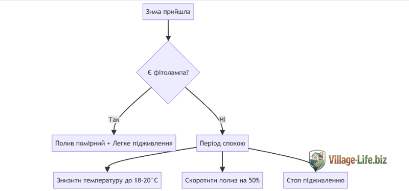 Схема догляду за кімнатними рослинами взимку