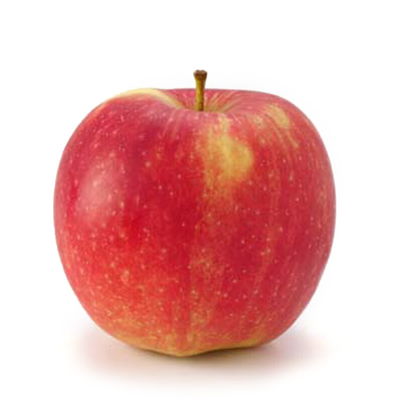 Jonagold Red (Jonagored)