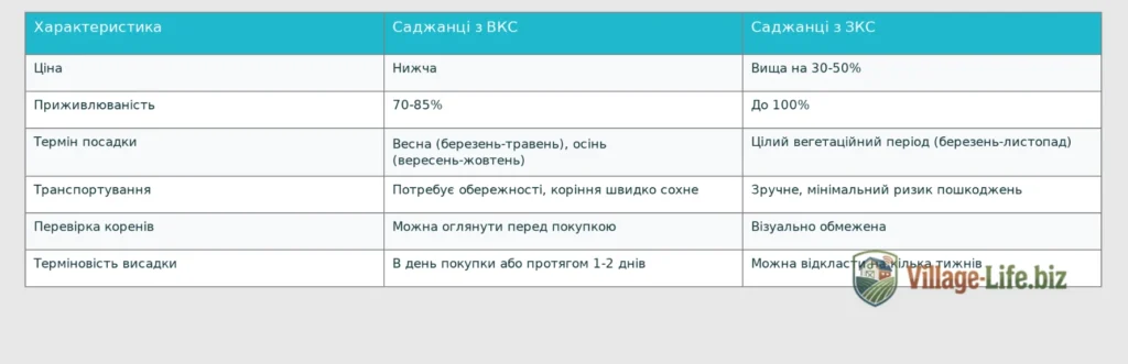 Порівняння саджанців з відкритою та закритою кореневою системою