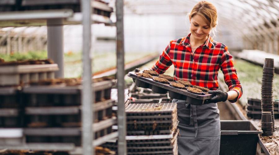 напрямки розвитку бізнесу в сільській місцевості