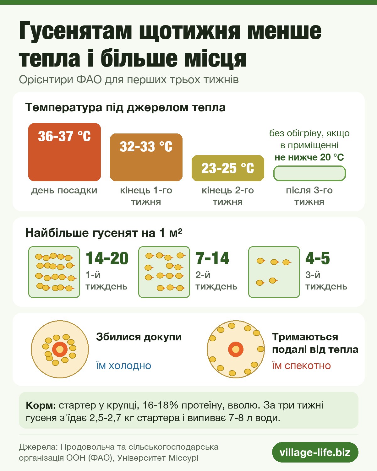 Чим годувати гусенят у перші дні: температура під обігрівом, місце і корм за три тижні
