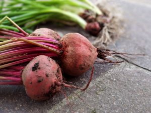 Як закрити буряк на зиму в банки: маринований за перевіреним рецептом і без маринаду